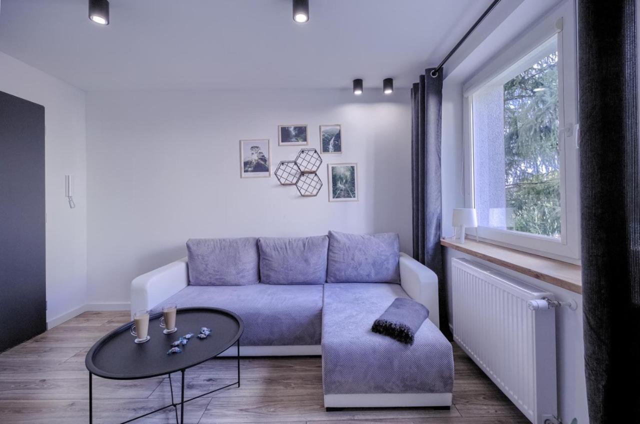 Апартаменты Niron Apartament Dabrowskiego Пила Экстерьер фото